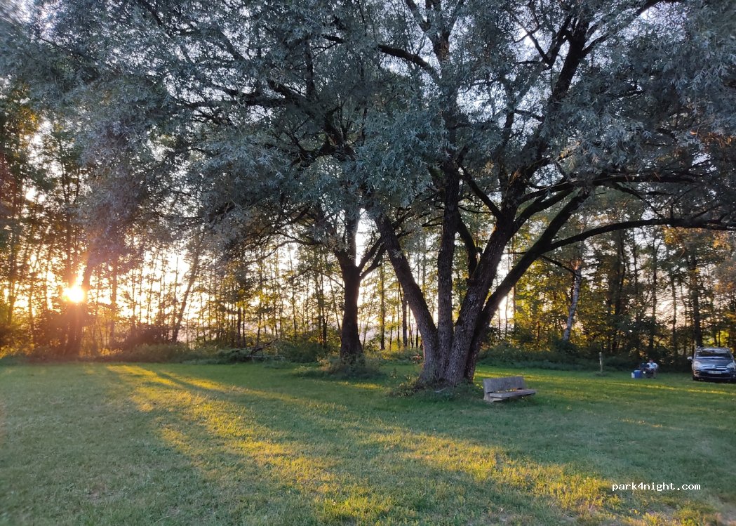(39130) Boissia - — foto