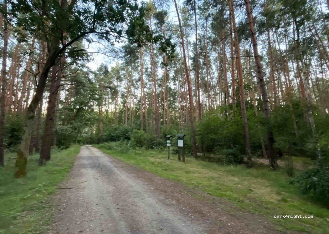 (66) Skwierzyna - Unnamed Road — foto