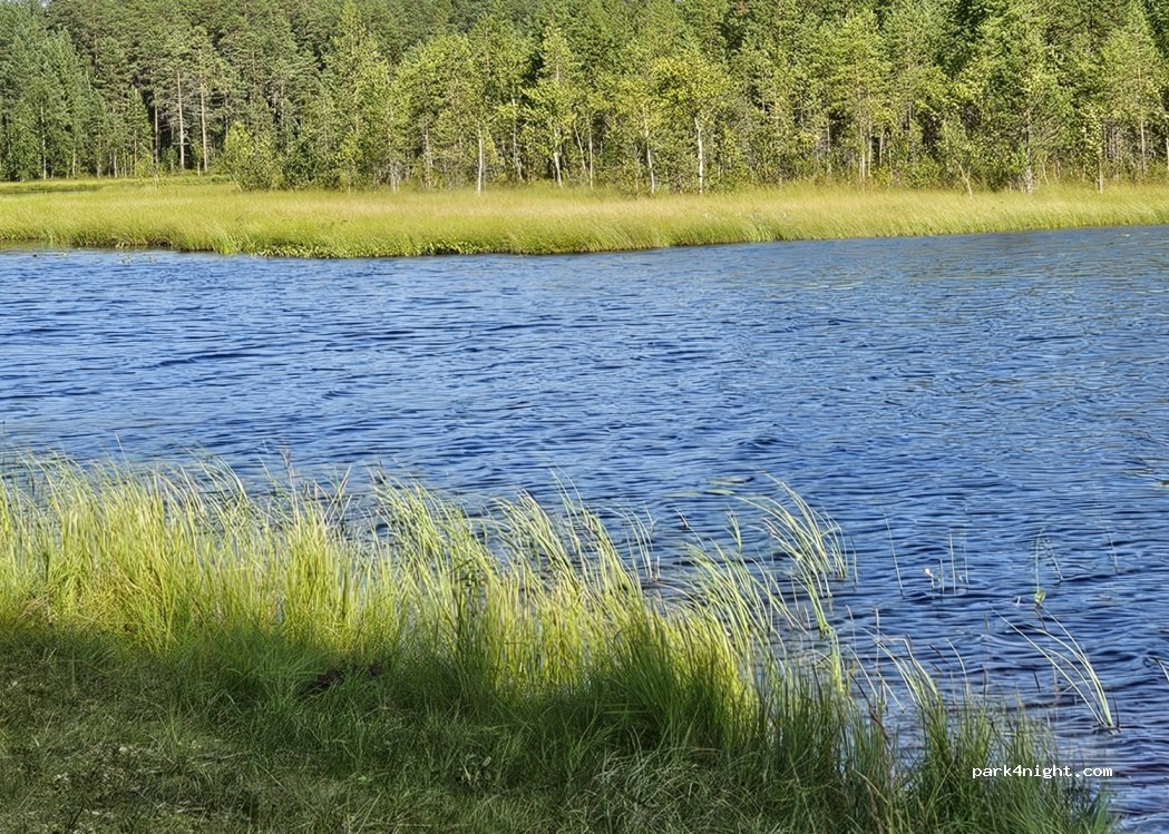 (89440) Sakara - 25 Viitostie — foto 2