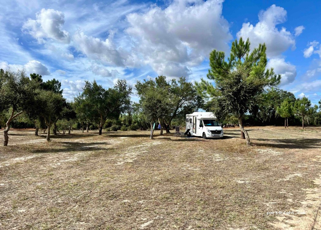 Camping Monte Naturista O Barao — foto 5