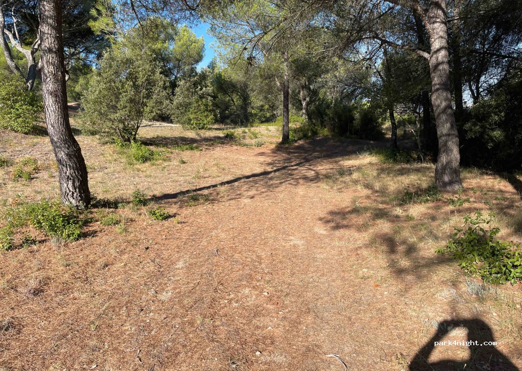 (13980) Alleins - 200 Avenue Sadi Carnot — foto 2