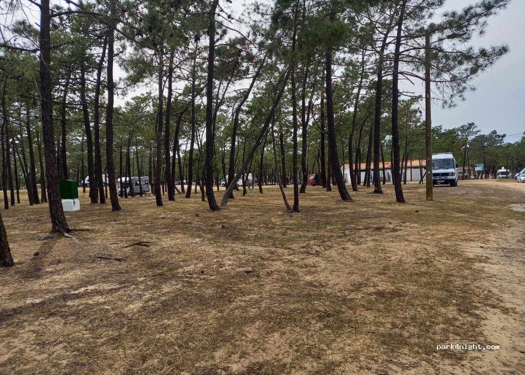 Parque Municipal Campismo de Monte Gordo — foto 3