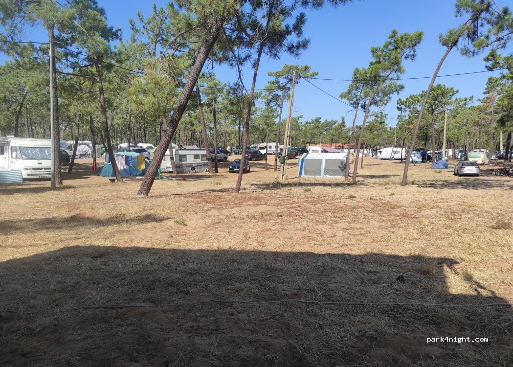 Parque Municipal Campismo de Monte Gordo — foto 5