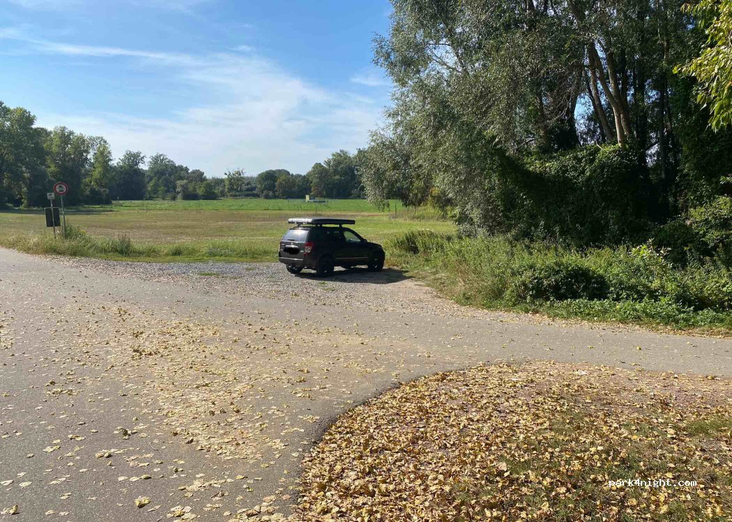 (76776) Neuburg am Rhein - — foto