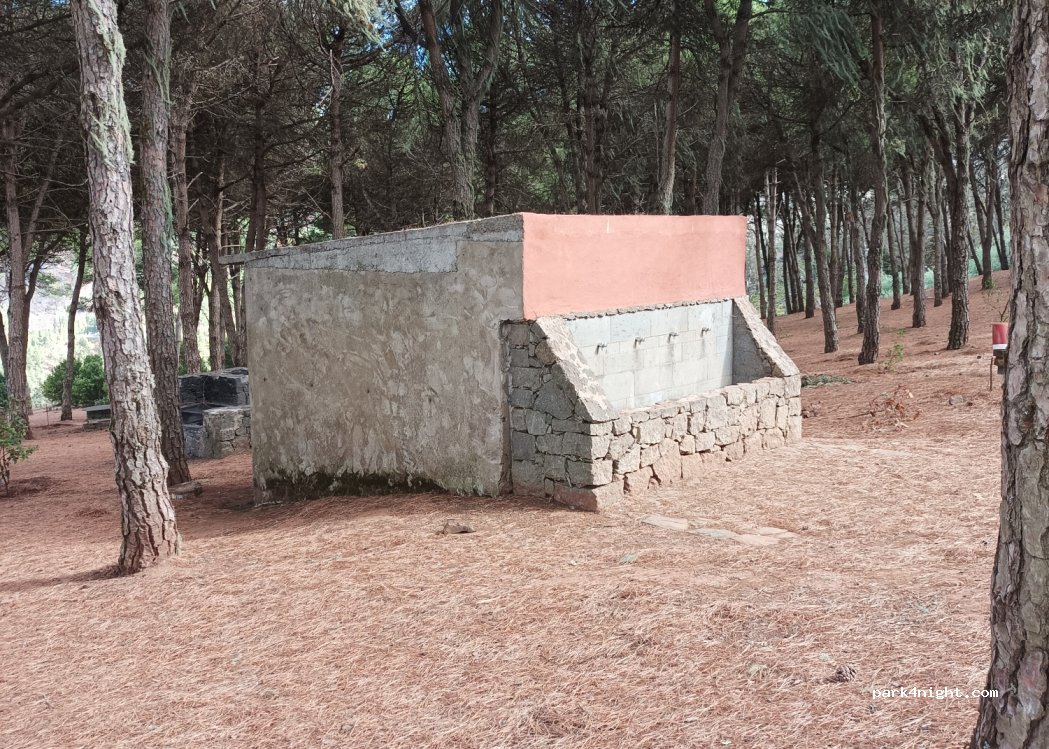 (35421) Barranco del Pinar - — foto