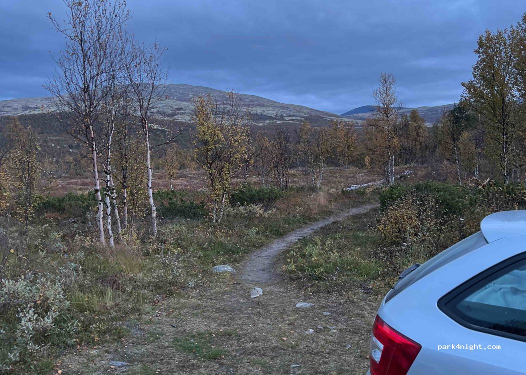 (2661) Hjerkinn - — foto