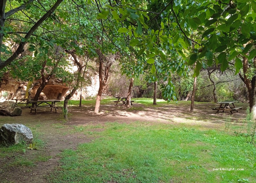 (50237) Jaraba - — foto 2