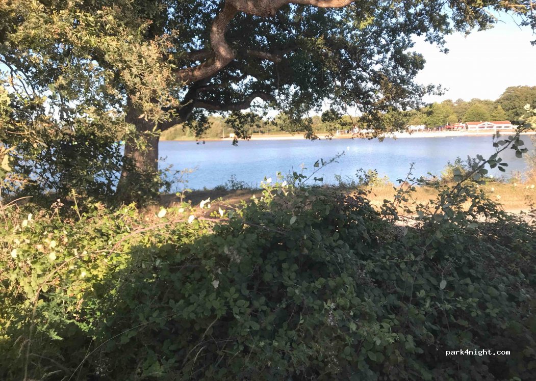 (85500) Mesnard-la-Barotière - La Tricherie — foto 3