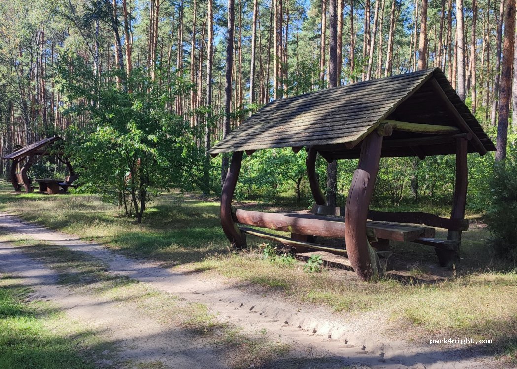 (86) Brzozowy Most - — foto 2