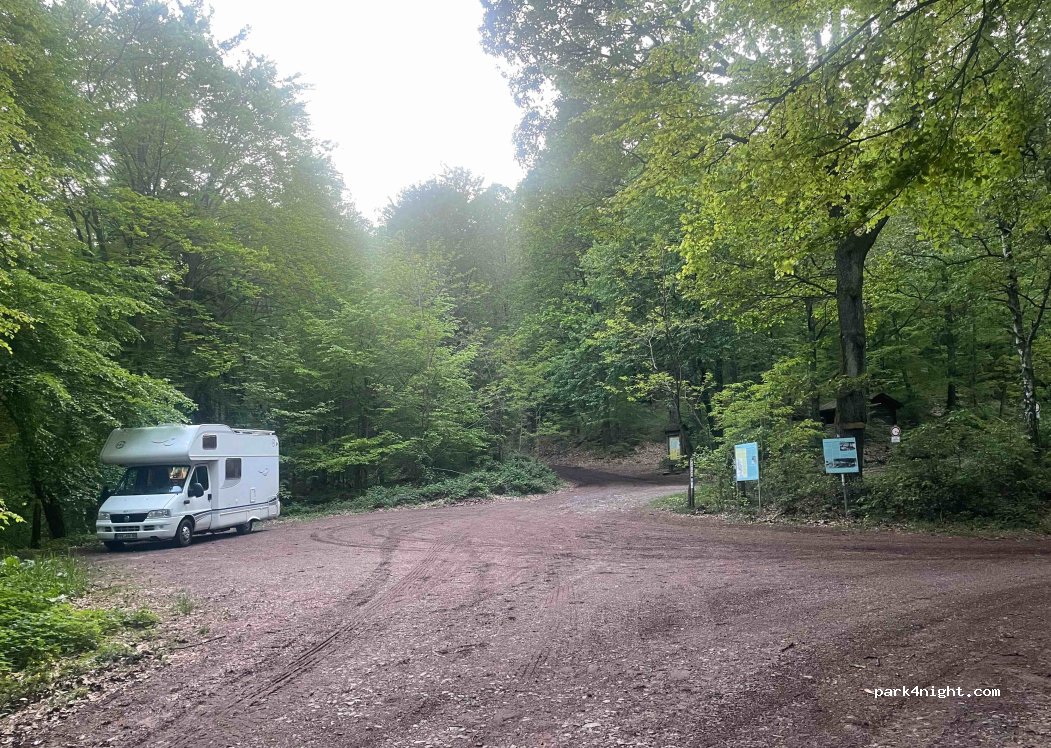 (76889) Böllenborn - — foto 2