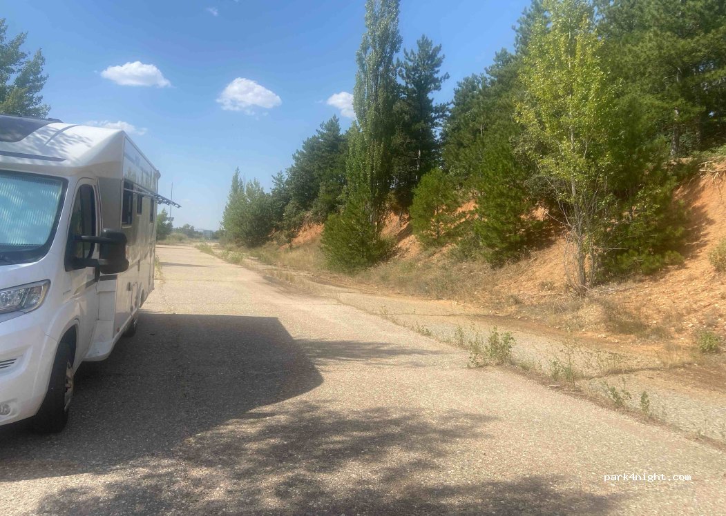 (40593) Castillejo de Mesleón - — foto 2