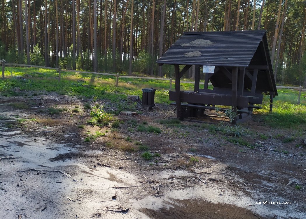 (66) Szumiąca - — foto