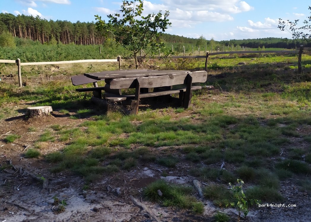 (66) Szumiąca - — foto 2
