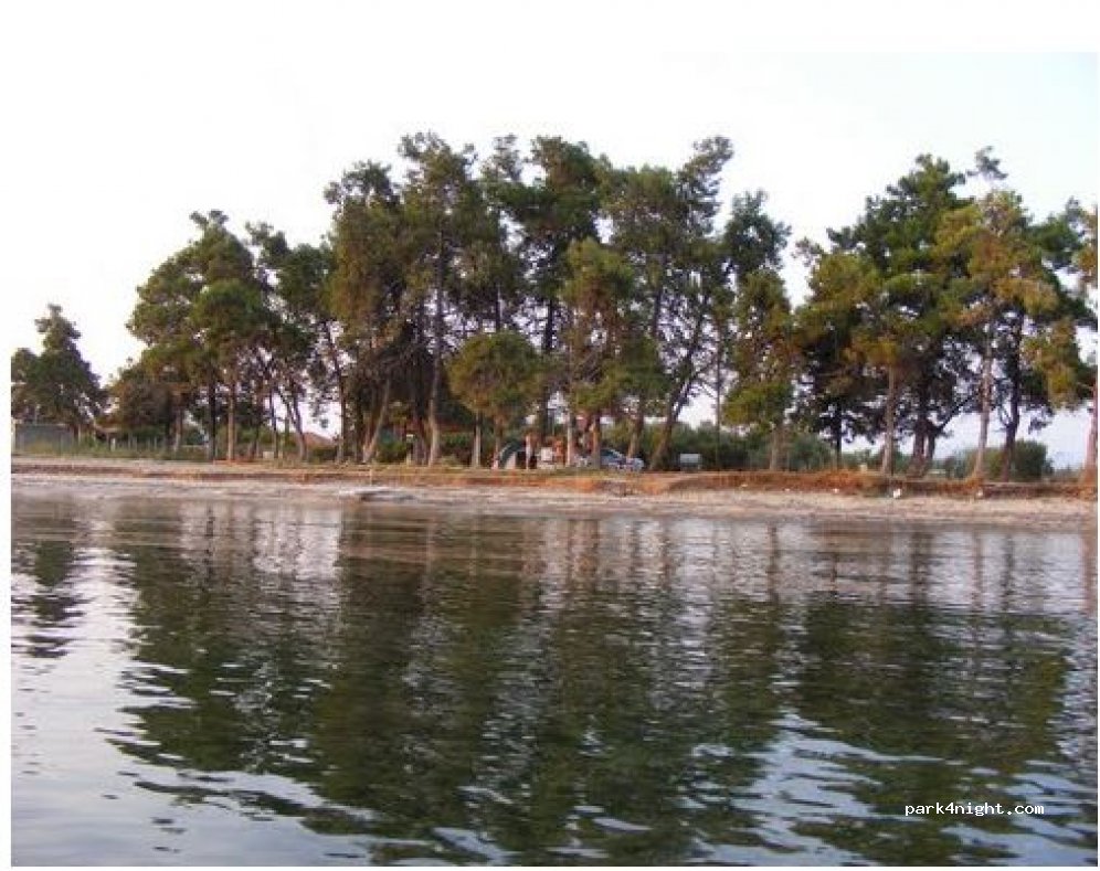 (632 00) Nea Flogita - Unnamed Road — foto