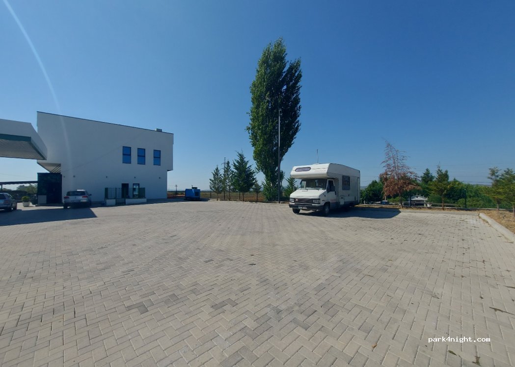 (9010) Konjat - SH4 — foto