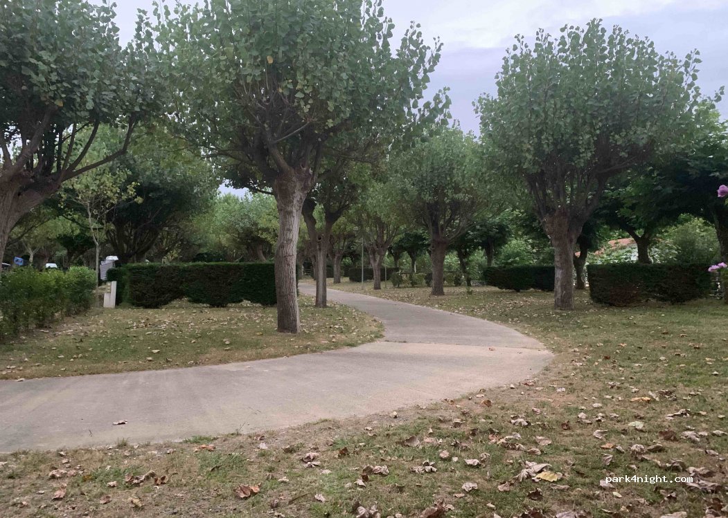 camping Alegera — foto 2