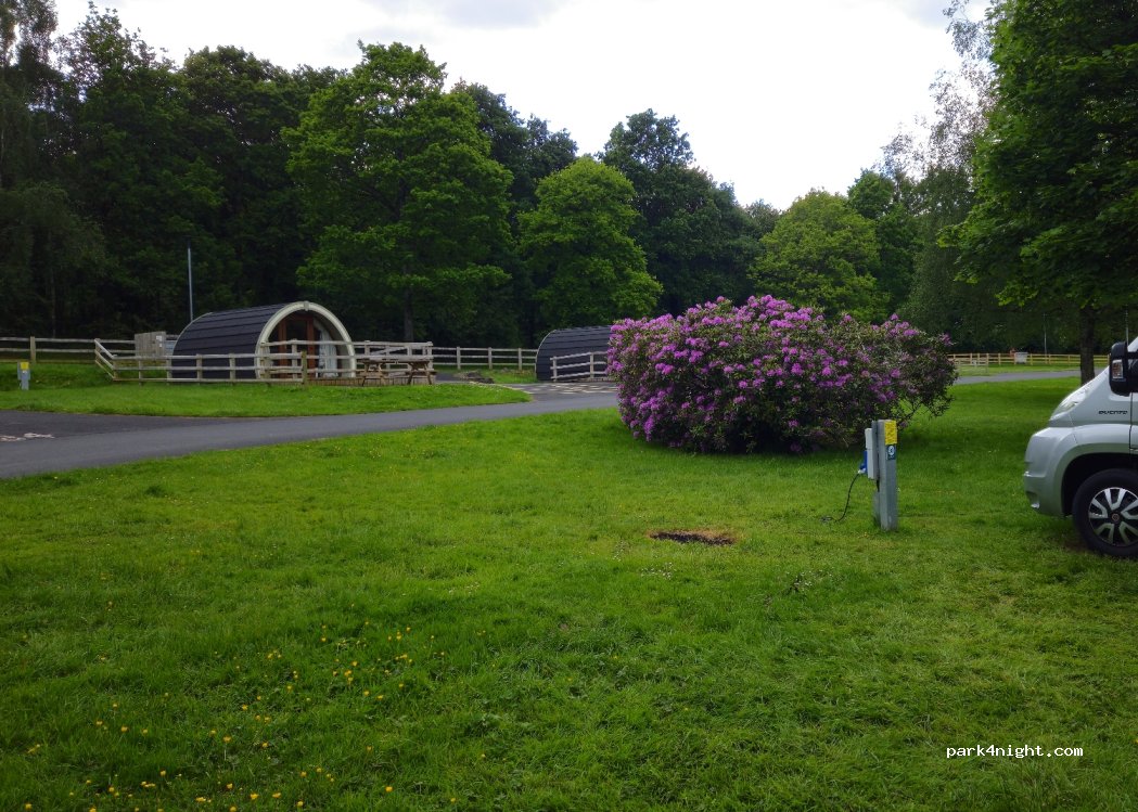 Gosford Forest Park — foto 2