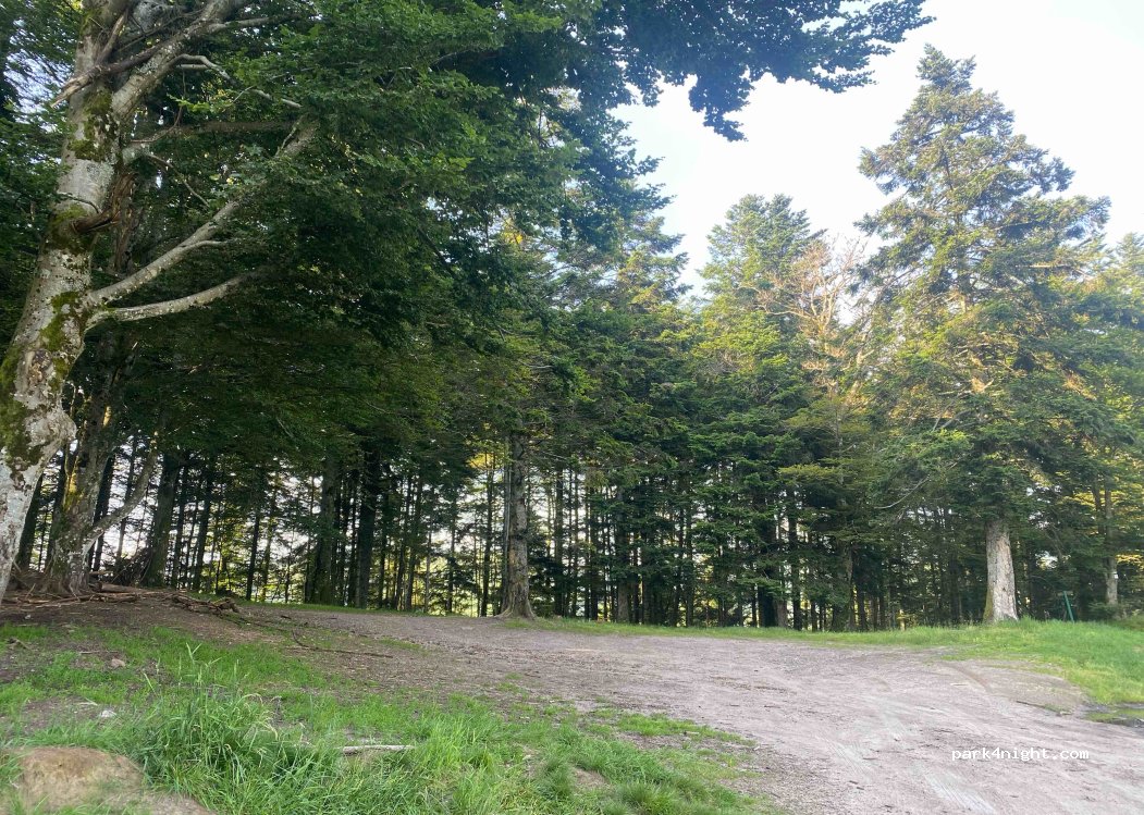 (88160) Fresse-sur-Moselle - 5 Chemin des Boudières — foto 2