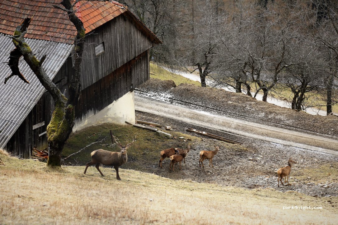 Tourist Farm Arbajter — foto 3