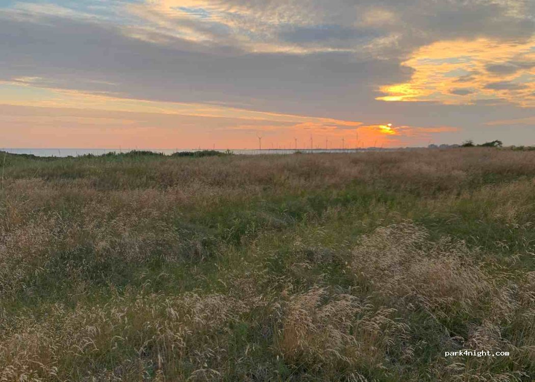 Skrea Camping — foto 4