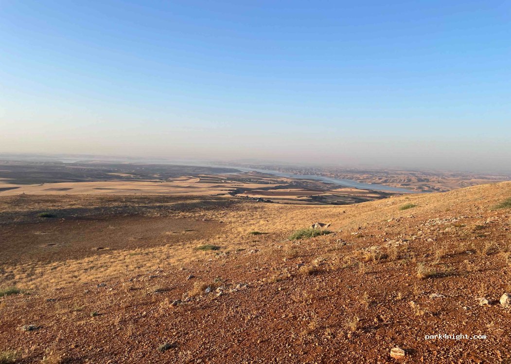 (02010) İpekli - — foto