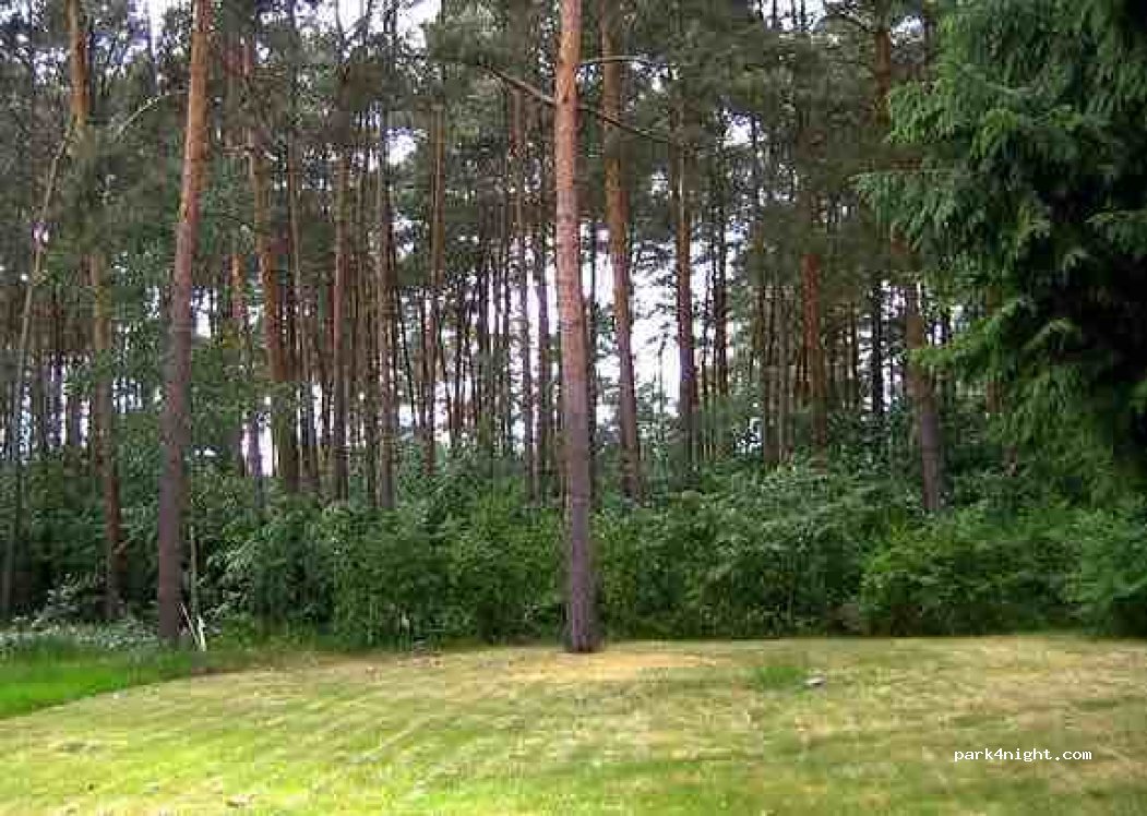 Campingplatz Waldesruh — foto