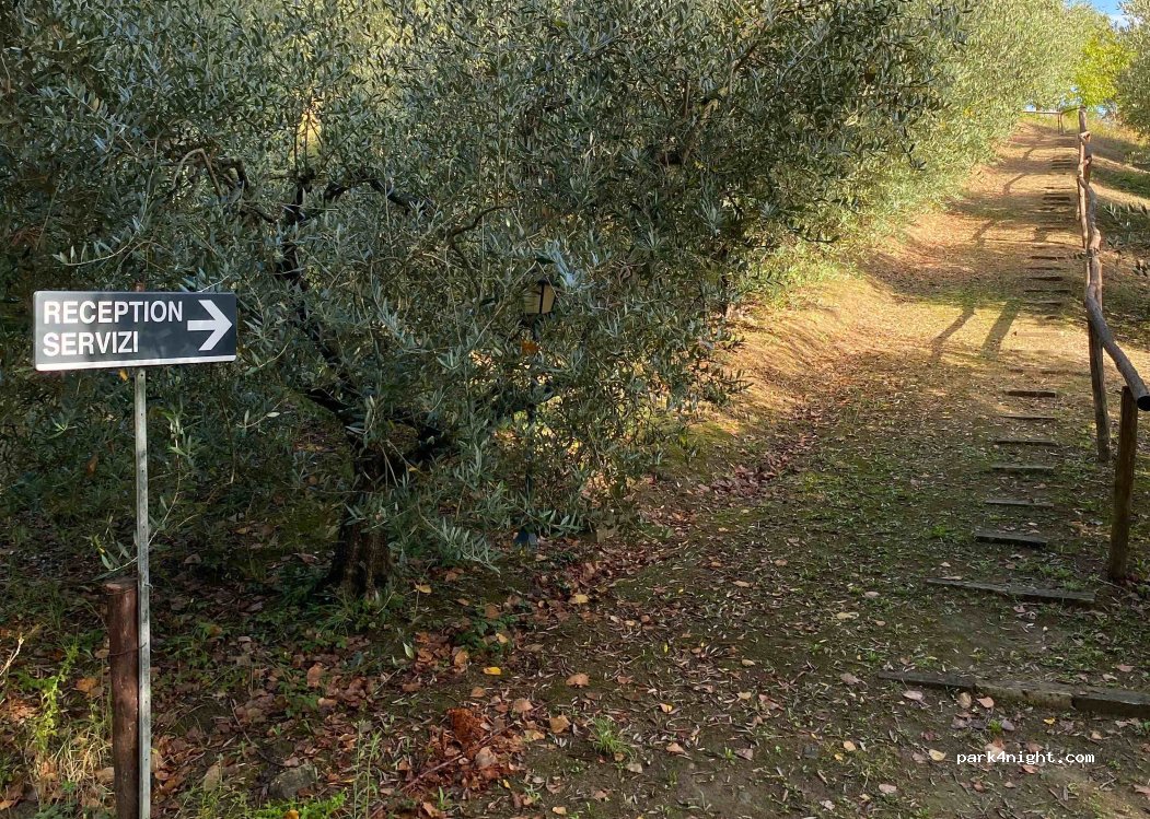Camping Cetona — foto 3