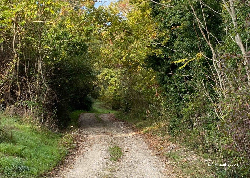 Camping Cetona — foto 5