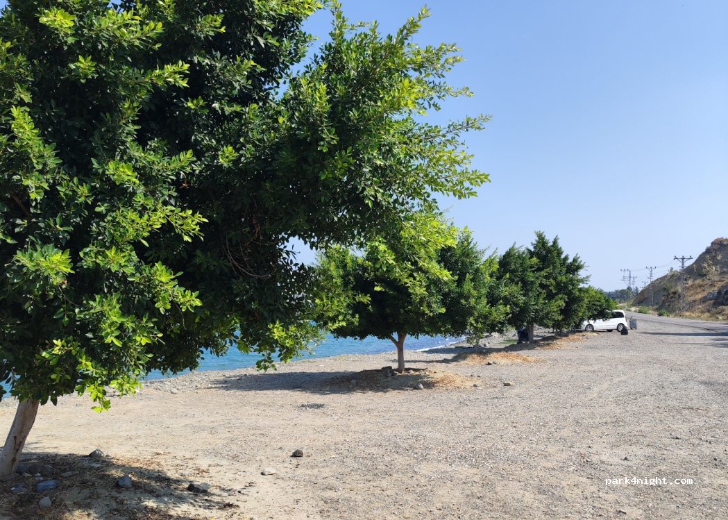(31200) Konacık - — foto
