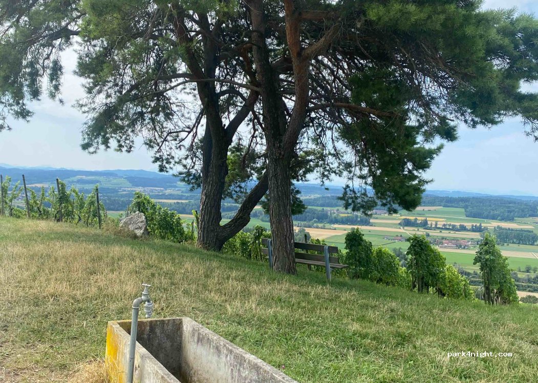 (8524) Uesslingen-Buch - 217 Sonnenberg — foto 2