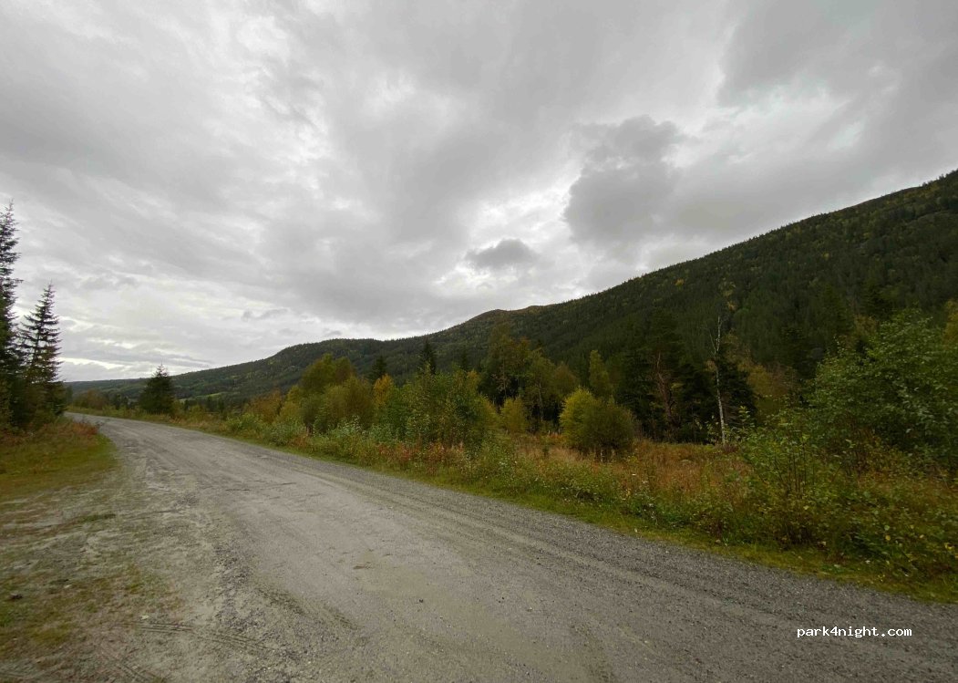 (3632) Bjorkflåta - — foto