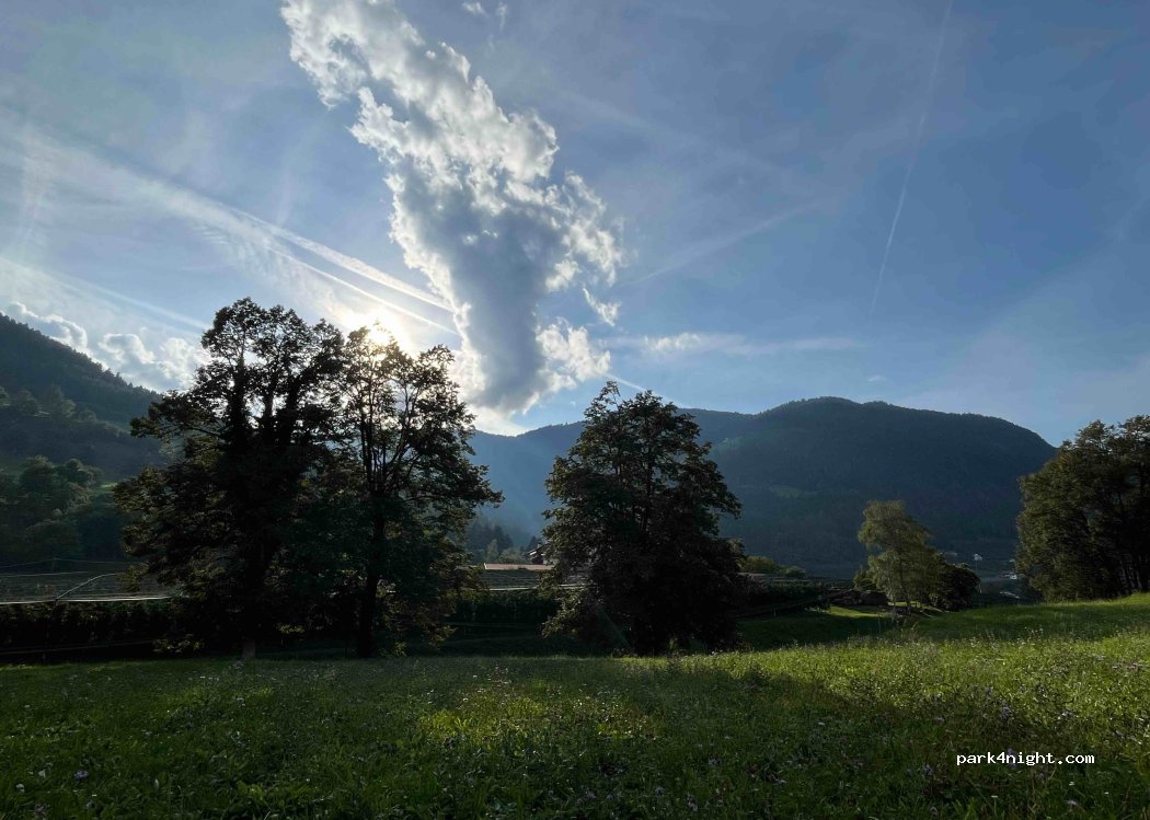 Kastanienhain | Piazzola nel Castagneto — foto