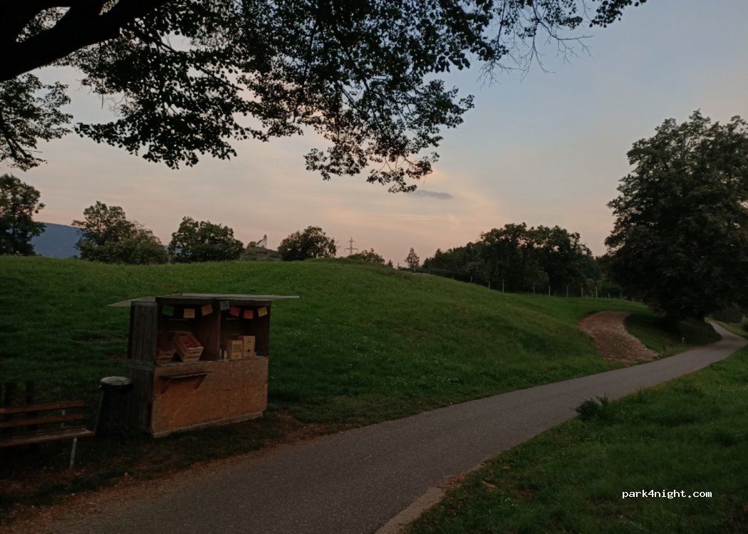 Kastanienhain | Piazzola nel Castagneto — foto 5
