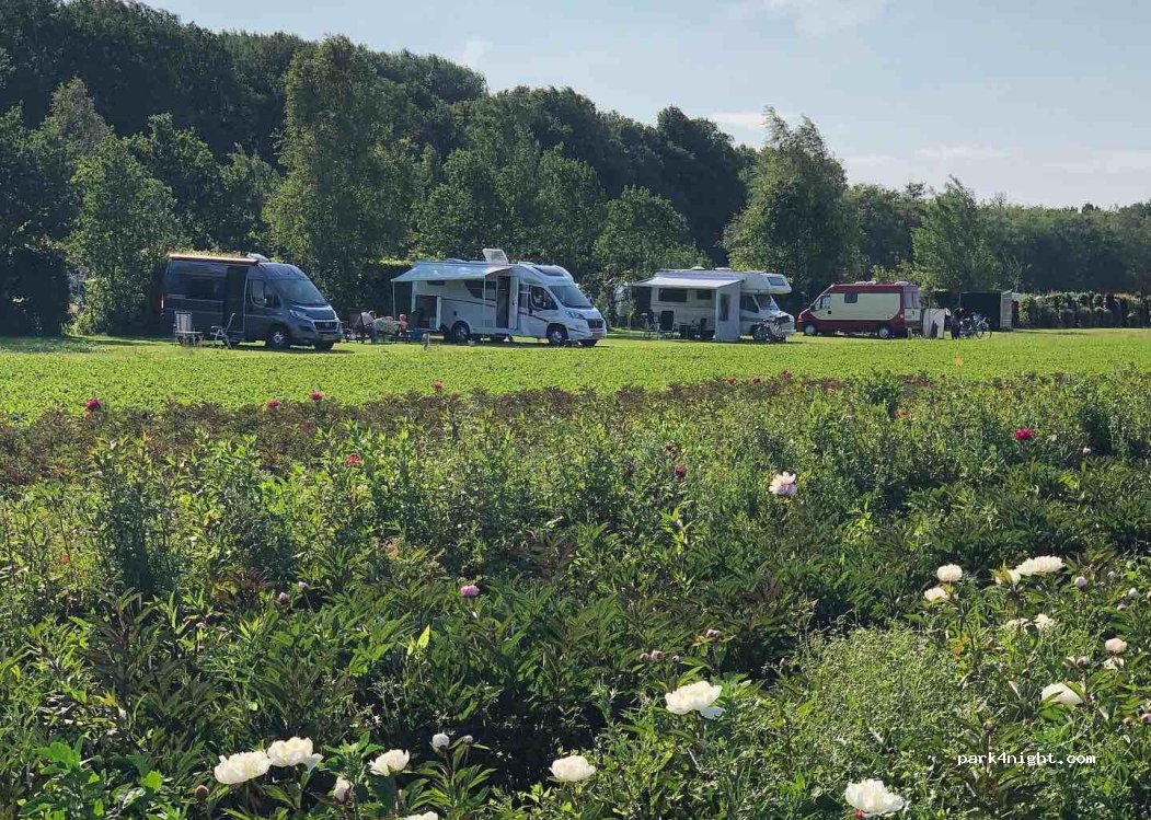 Camping — foto 3