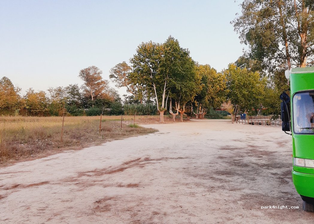 (2080-701) Almeirim - 26 R. de Baixo — foto