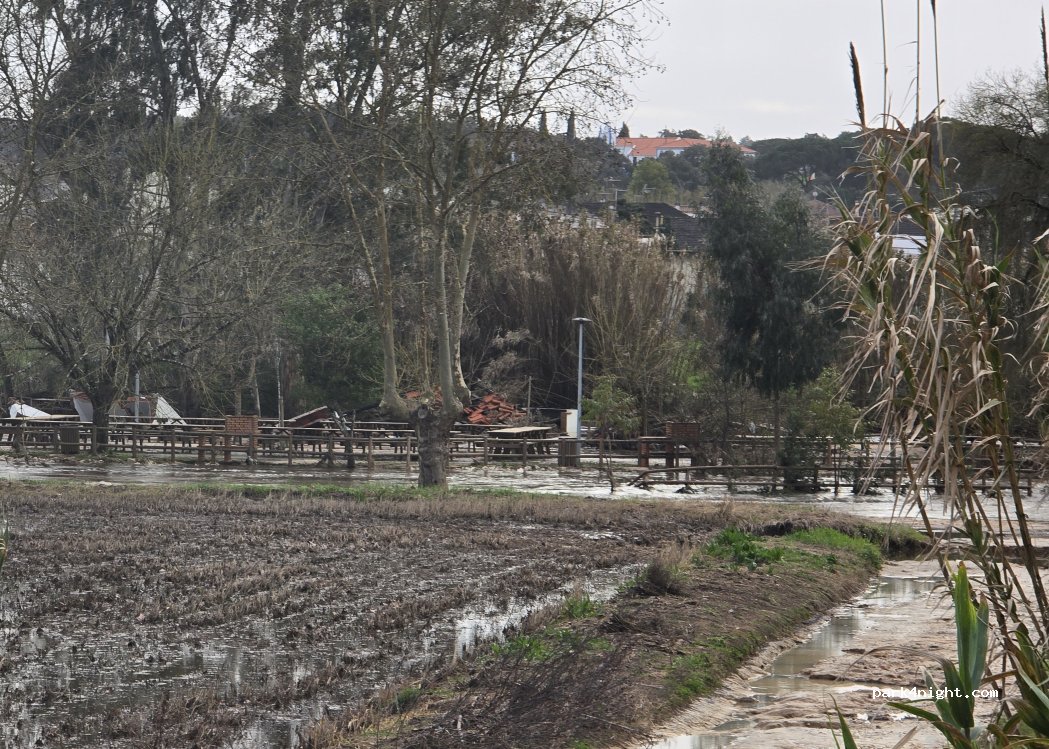 (2080-701) Almeirim - 26 R. de Baixo — foto 5