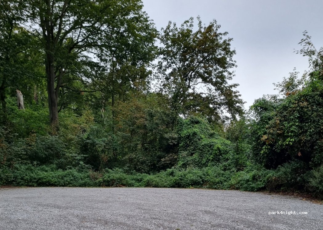 (38889) Blankenburg (Harz) - 1 Großes Schloß — foto
