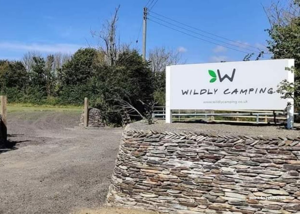 Wildly Camping — foto