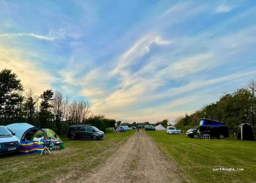 Wildly Camping — foto 3