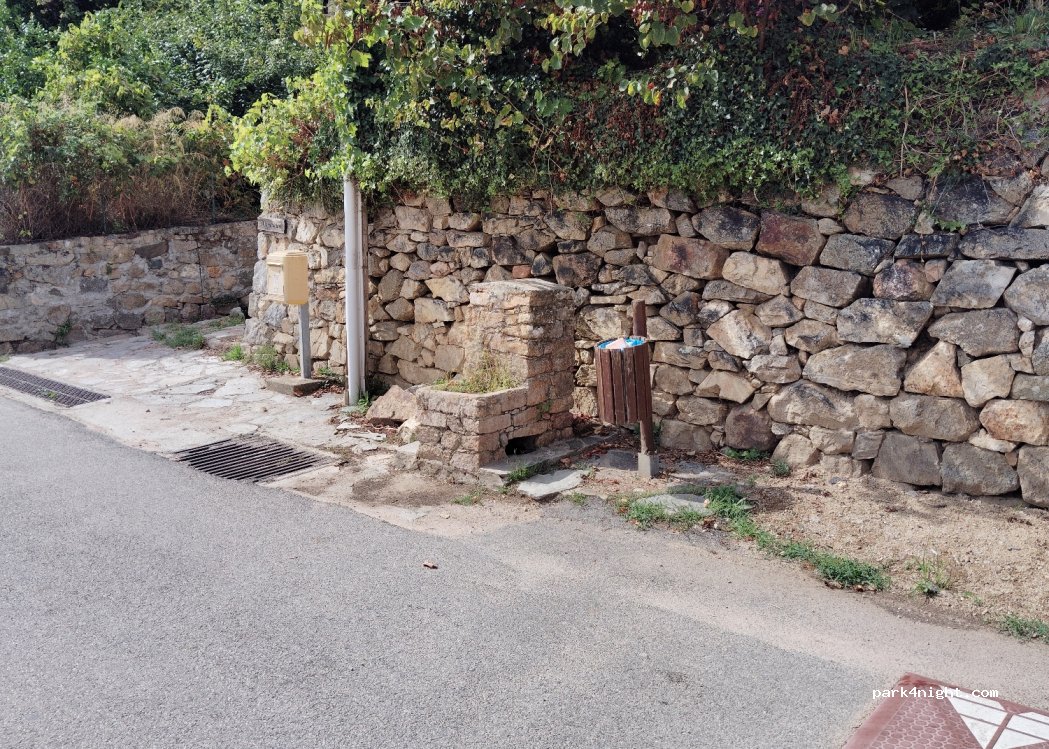 (20160) Arbori - 1 D1 — foto