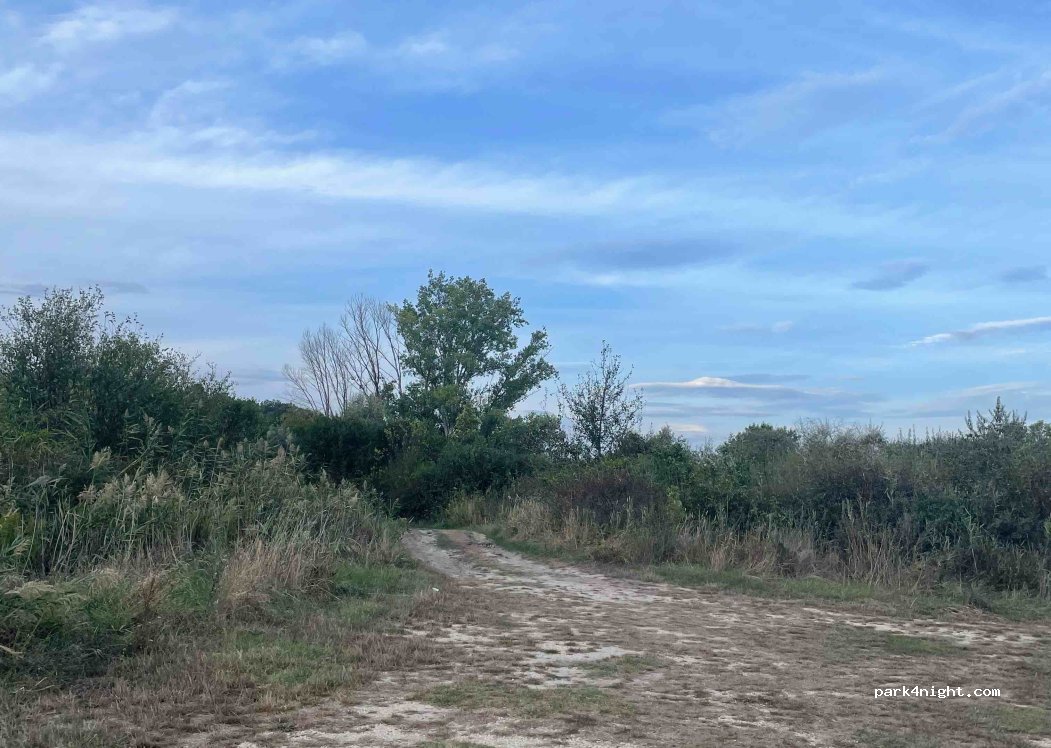 (8095) Pákozd - — foto 2