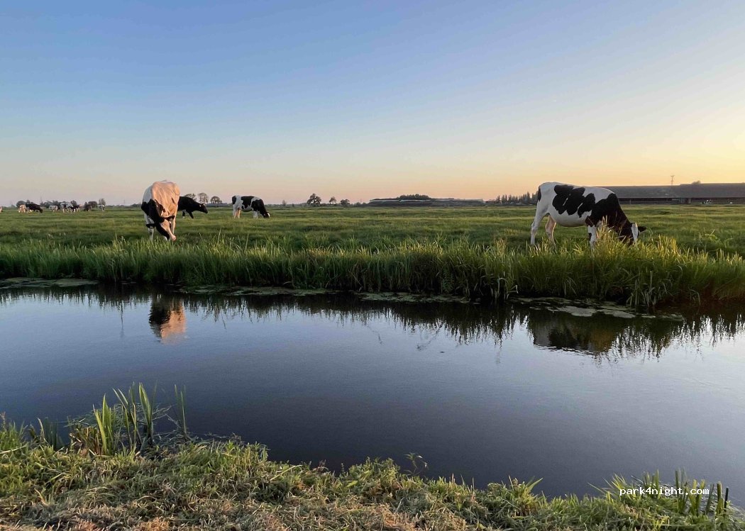 Camping and Hall Landhoeve — foto 5