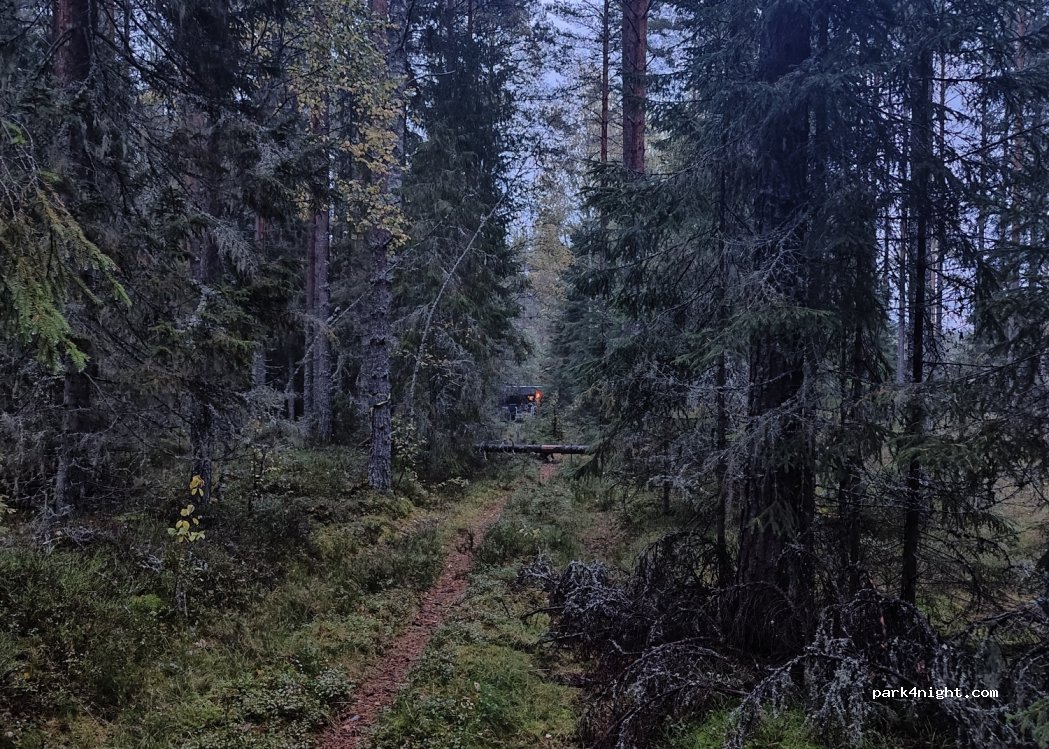 (777 93) Södra Bisen - — foto