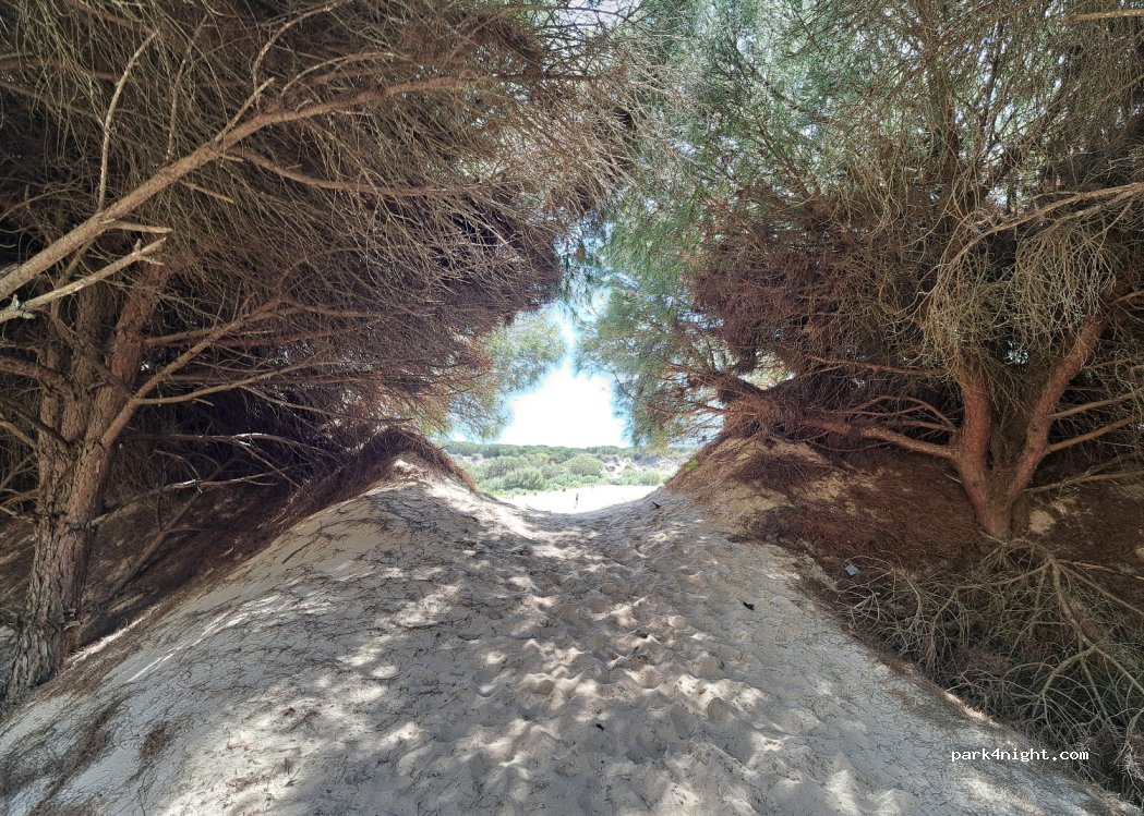 (11391) Bolonia - — foto