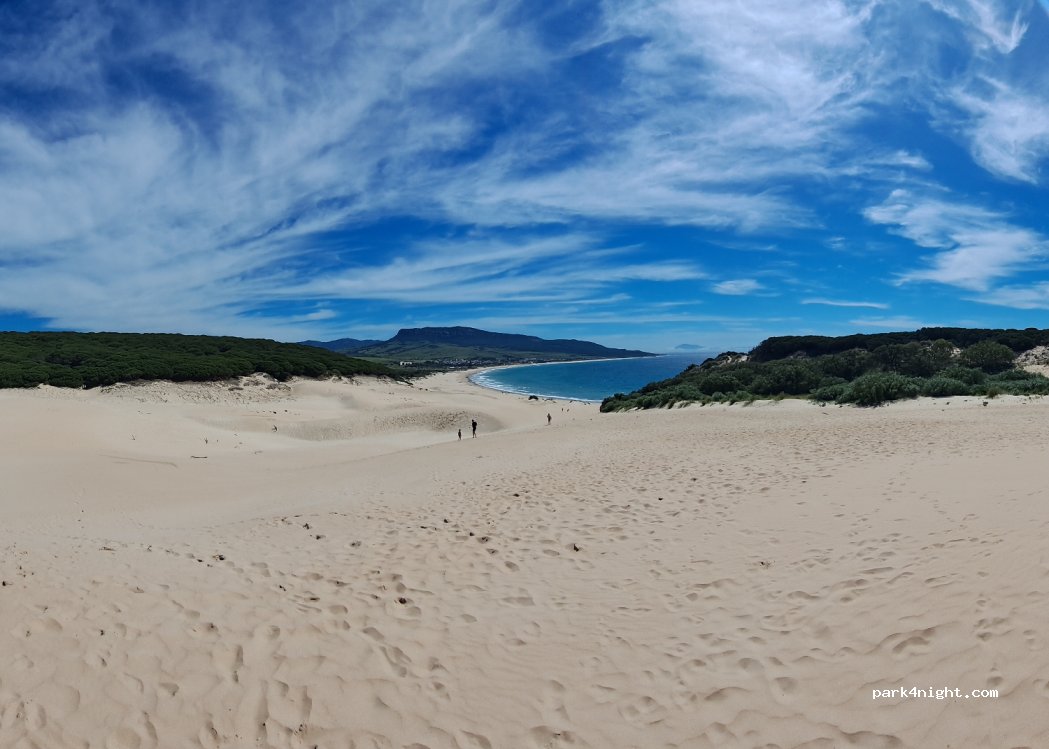 (11391) Bolonia - — foto 2