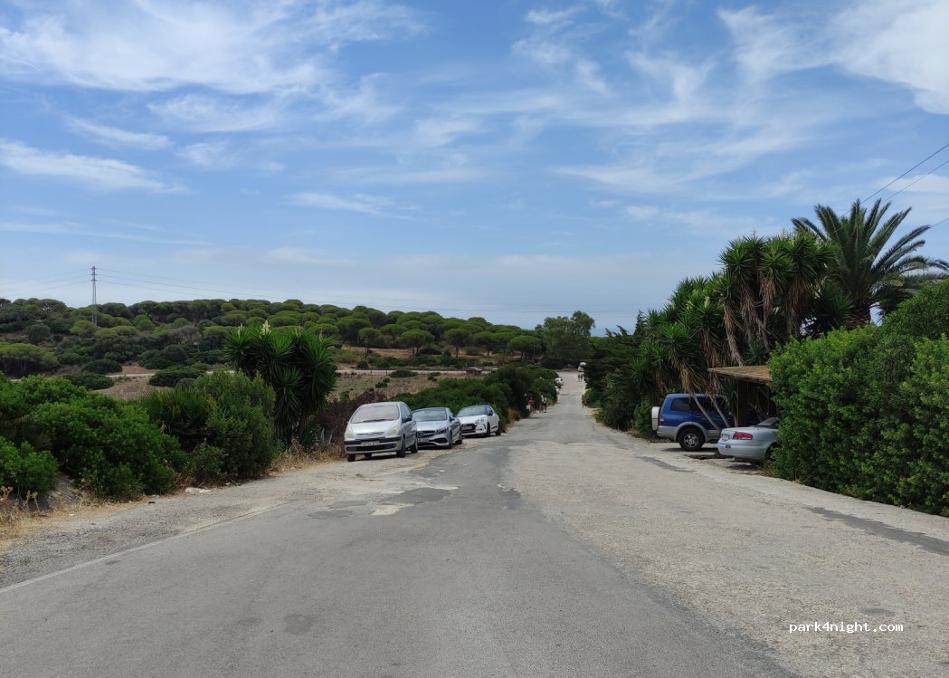 (11391) Bolonia - — foto 3