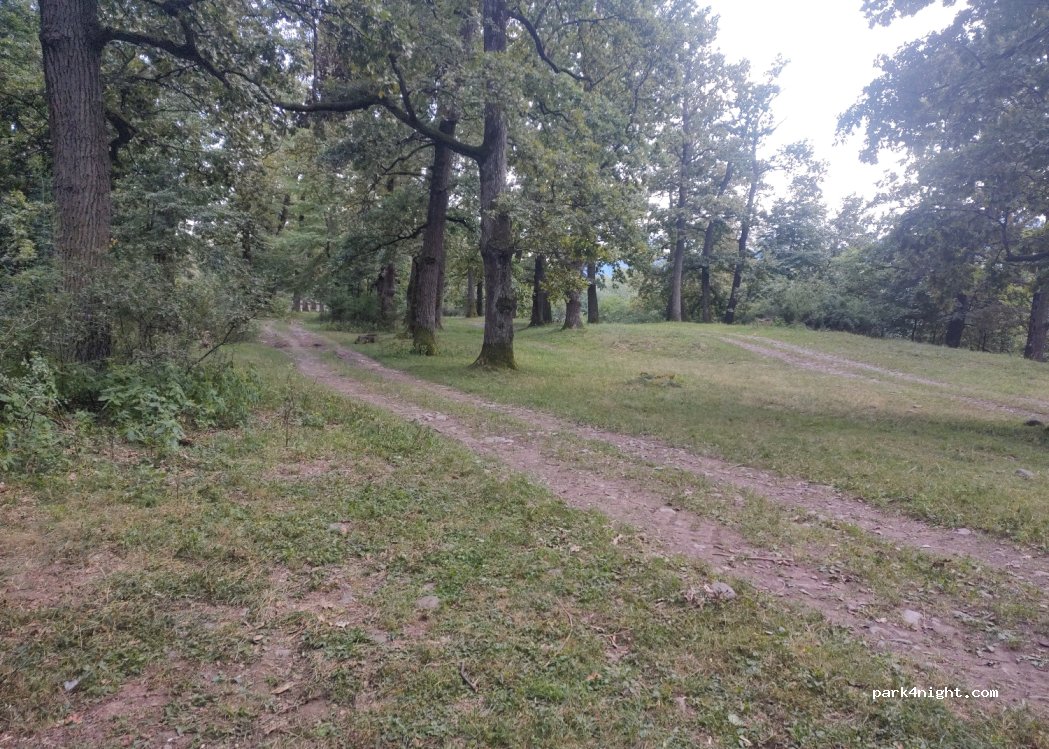 (437305) Săpânța - — foto 3