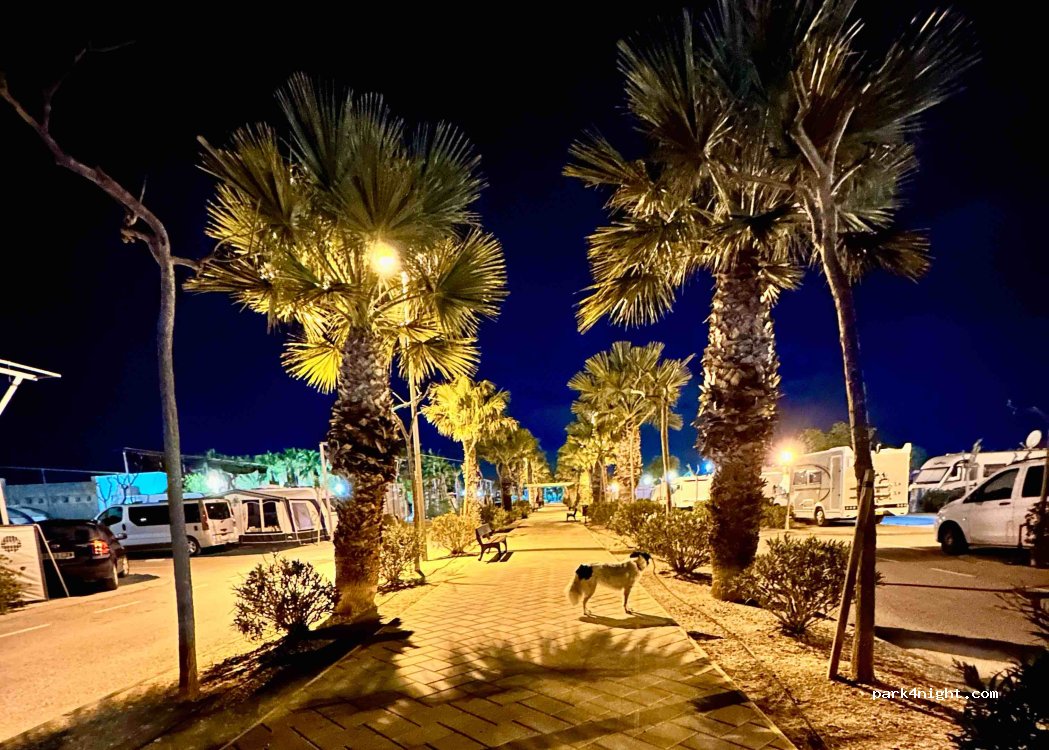 Alannia Costa Blanca — foto 5