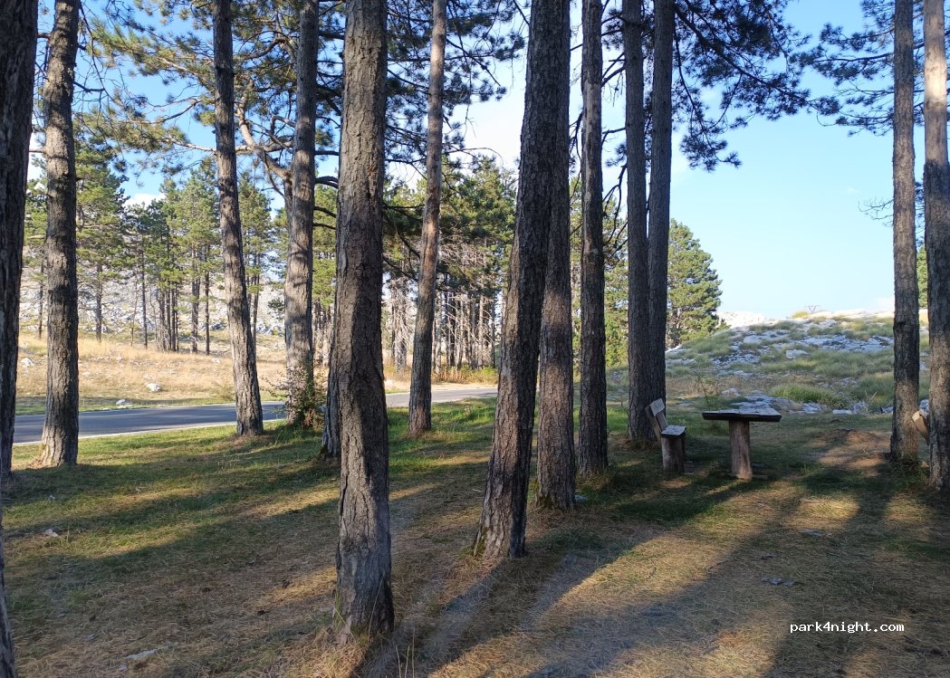 (81250) Cetinje - — foto 2
