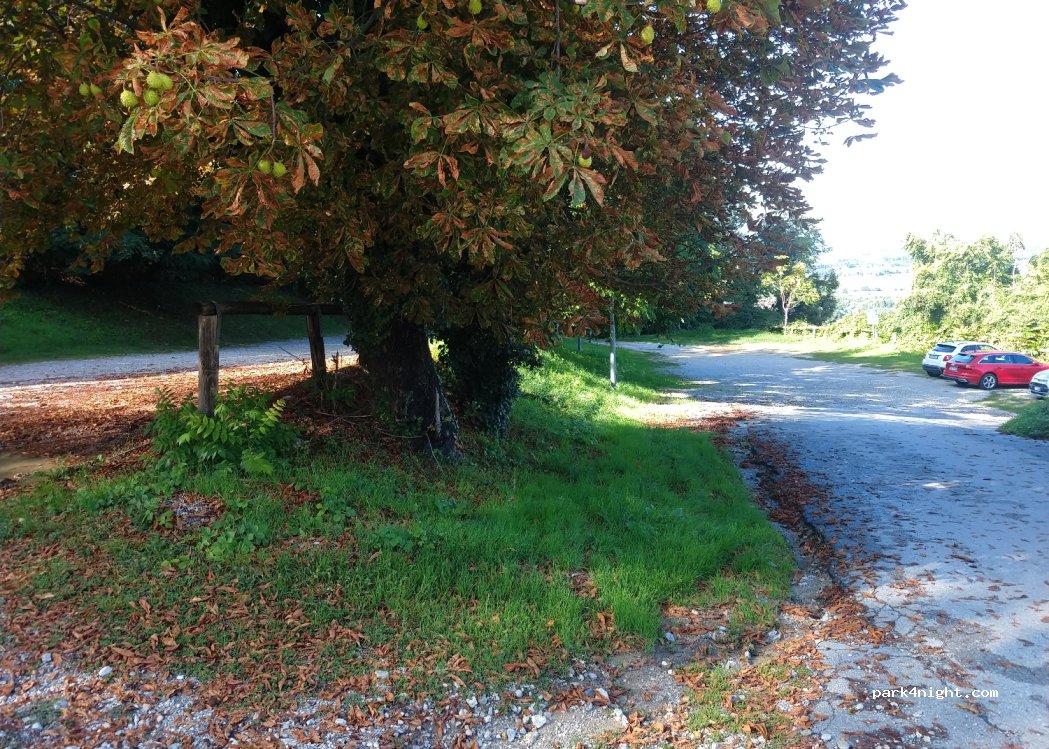 (12084) Piazza - — foto